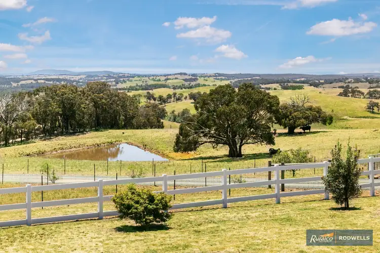Fifth view of Homely rural property listing, 1555 Dairy Flat Road, Tooborac VIC 3522