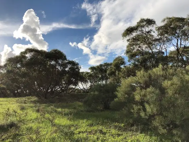 Third view of Homely rural property listing, 100 Appleton Road, Moorlands SA 5301