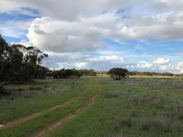 Fifth view of Homely rural property listing, 100 Appleton Road, Moorlands SA 5301