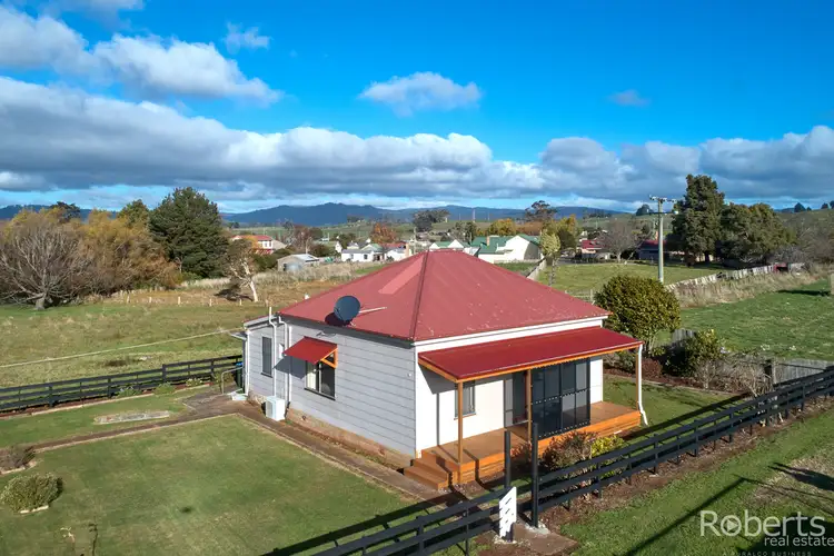 49 Winnaleah Road, Winnaleah TAS 7265