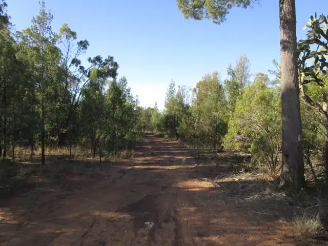 Fifth view of Homely rural property listing, 1095 MALES DRIVE, Tara QLD 4421