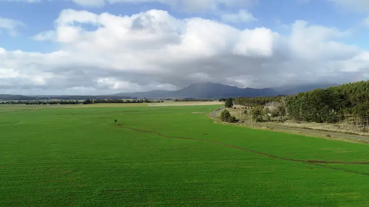 Main view of Homely rural property listing, 862 Cheshunt Road, Western Creek TAS 7304