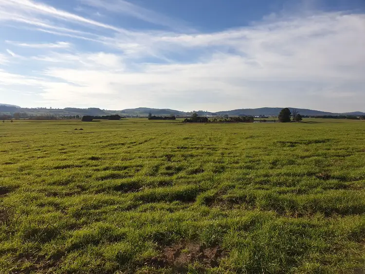 Fourth view of Homely rural property listing, 862 Cheshunt Road, Western Creek TAS 7304