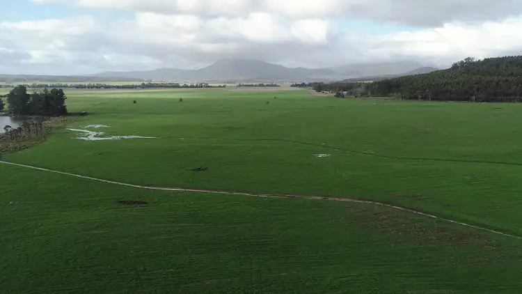 Fifth view of Homely rural property listing, 862 Cheshunt Road, Western Creek TAS 7304