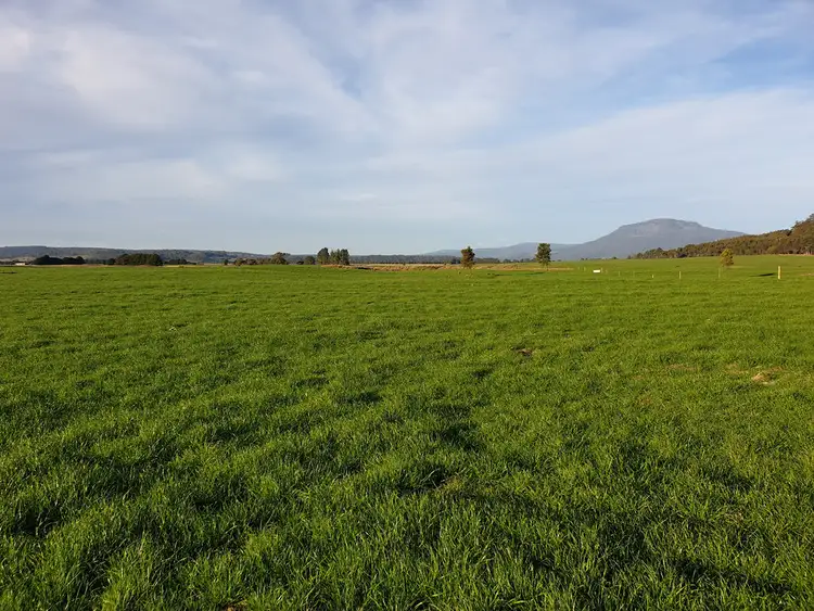 Seventh view of Homely rural property listing, 862 Cheshunt Road, Western Creek TAS 7304