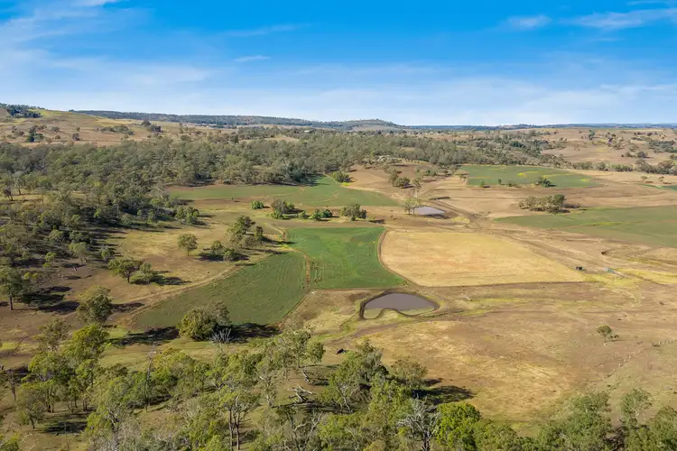 Sixth view of Homely rural property listing, 741 Douglas Plainby Road, Plainby QLD 4355