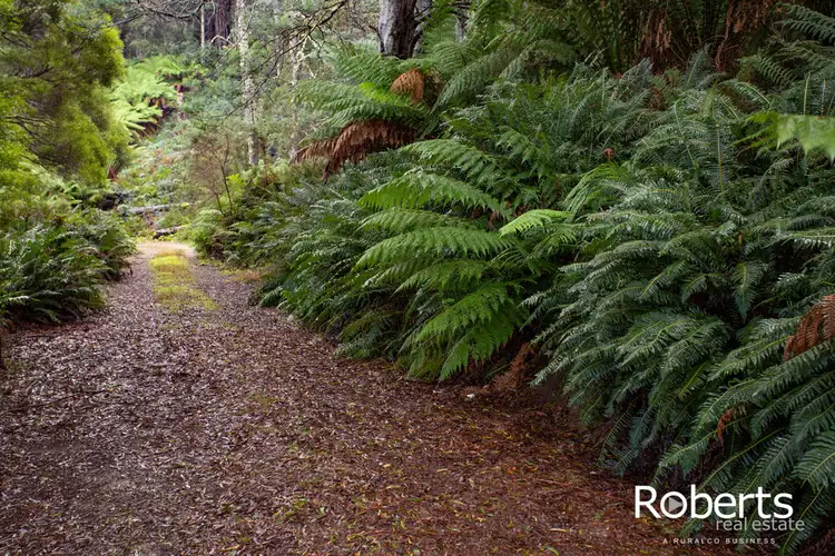 Second view of Homely rural property listing, 1735 Upper Esk Road, Upper Esk TAS 7214