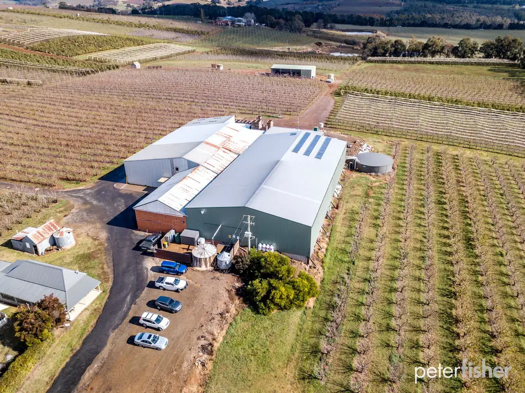 Main view of Homely rural property listing, 474 (Lot 10) Canobolas Road, Orange NSW 2800