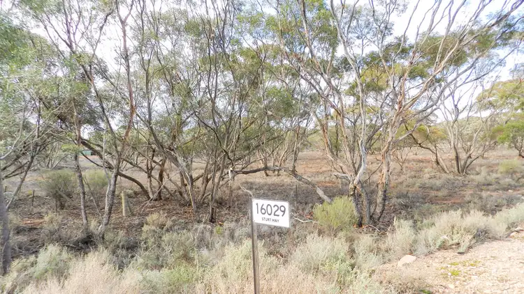 Third view of Homely land listing, 16029 (Lot 1) Sturt Highway, Kingston On Murray SA 5331