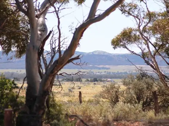 Main view of Homely land listing, Lot 75 Deer Street, Cowell SA 5602