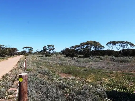 Fourth view of Homely land listing, Lot 75 Deer Street, Cowell SA 5602