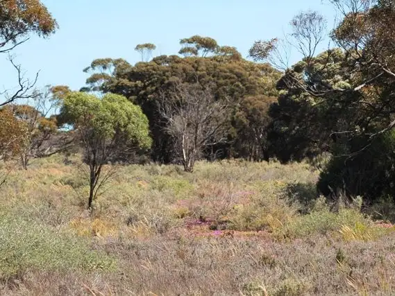 Sixth view of Homely land listing, Lot 75 Deer Street, Cowell SA 5602
