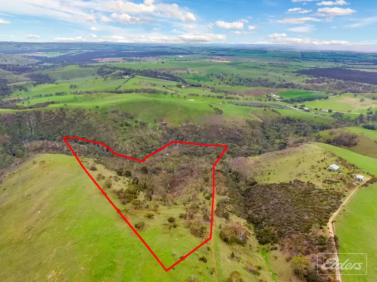 Main view of Homely rural property listing, Lot 11 Braeside Road, Finniss SA 5255