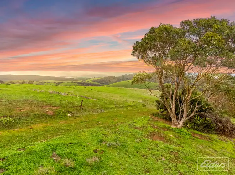 Third view of Homely rural property listing, Lot 11 Braeside Road, Finniss SA 5255