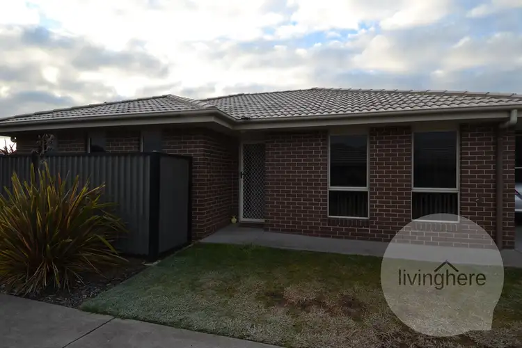 1/8 Corella Drive