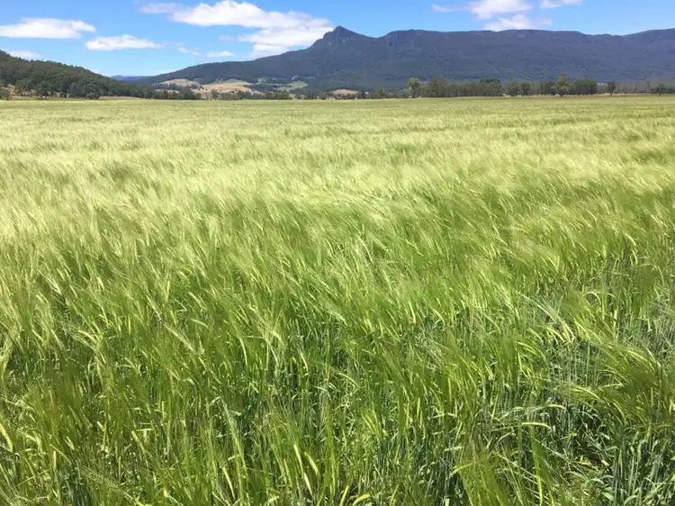 Main view of Homely rural property listing, PID 3181150 Dairy Plains Road, Dairy Plains TAS 7304