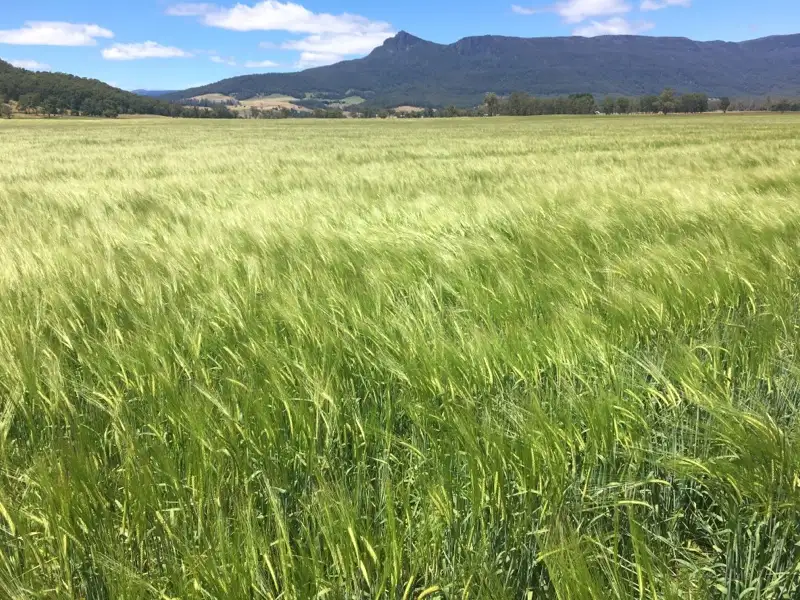 Main view of Homely rural property listing, PID 3181150 Dairy Plains Road, Dairy Plains TAS 7304