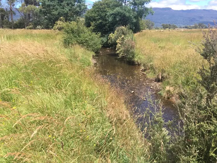 Third view of Homely rural property listing, PID 3181150 Dairy Plains Road, Dairy Plains TAS 7304