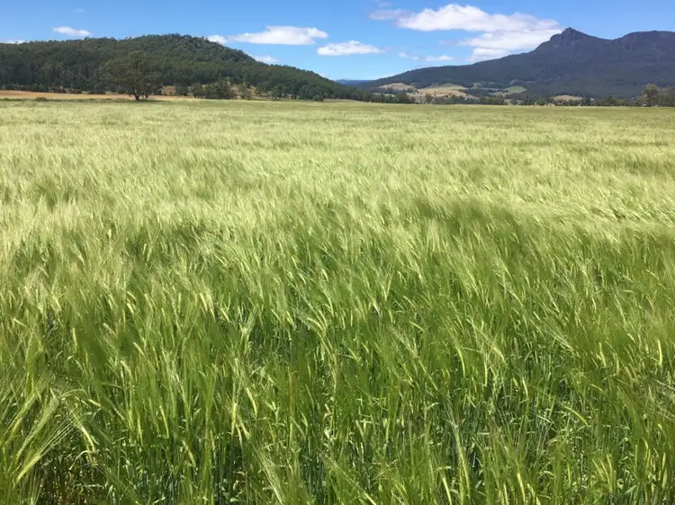Fifth view of Homely rural property listing, PID 3181150 Dairy Plains Road, Dairy Plains TAS 7304