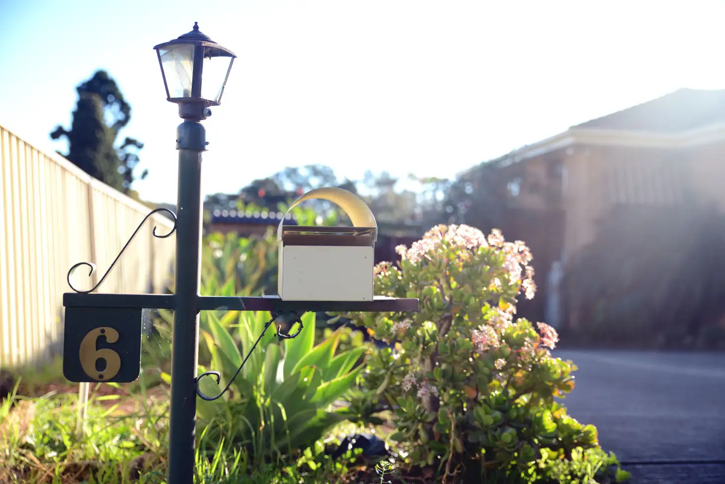 Main view of Homely house listing, 6 ALBILLO PLACE, Eschol Park NSW 2558
