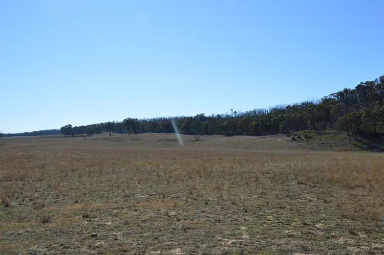Third view of Homely rural property listing, Lots 133 & 134 Turill Bus Route, Turill, Mudgee NSW 2850