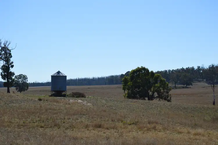 Fifth view of Homely rural property listing, Lots 133 & 134 Turill Bus Route, Turill, Mudgee NSW 2850