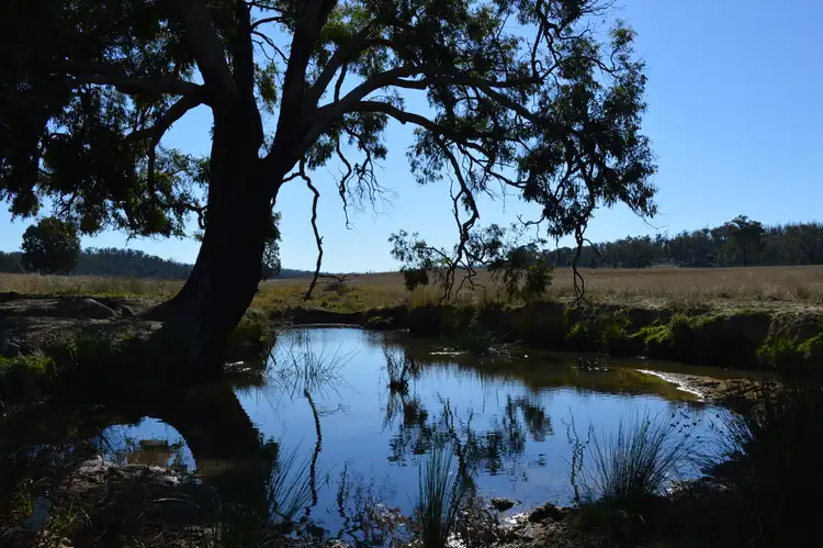 Seventh view of Homely rural property listing, Lots 133 & 134 Turill Bus Route, Turill, Mudgee NSW 2850