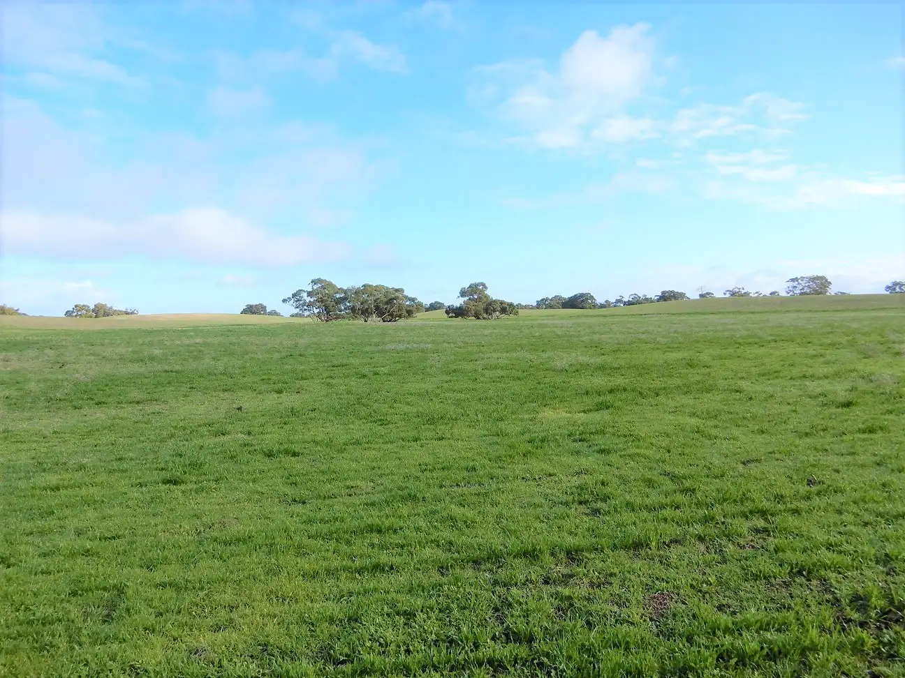 Main view of Homely rural property listing, Address available on request
