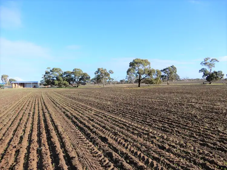 Fourth view of Homely rural property listing, Address available on request