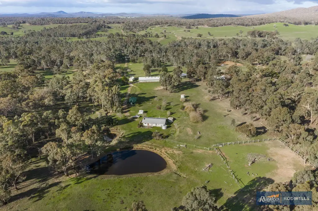 Main view of Homely rural property listing, 343 Majors Line Road, Tooborac VIC 3522