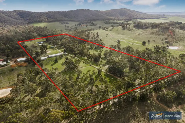 Fourth view of Homely rural property listing, 343 Majors Line Road, Tooborac VIC 3522
