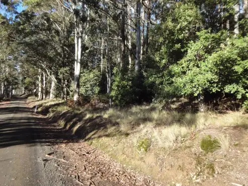 Third view of Homely rural property listing, Lot 2 Mount Barrow Road, Nunamara TAS 7259