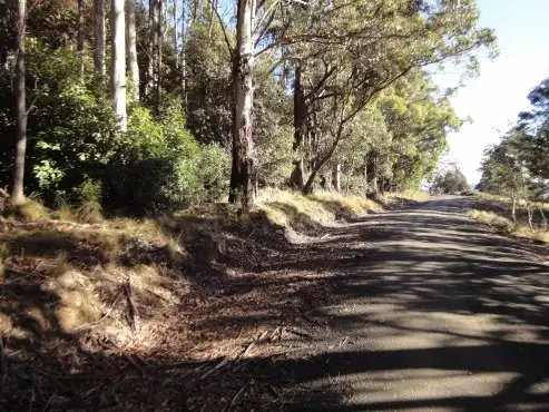 Fourth view of Homely rural property listing, Lot 2 Mount Barrow Road, Nunamara TAS 7259