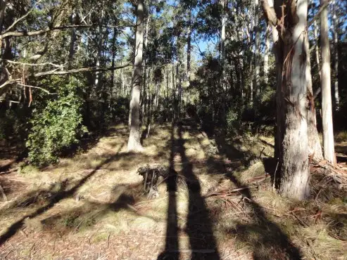 Fifth view of Homely rural property listing, Lot 2 Mount Barrow Road, Nunamara TAS 7259