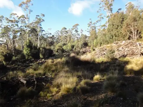 Sixth view of Homely rural property listing, Lot 2 Mount Barrow Road, Nunamara TAS 7259