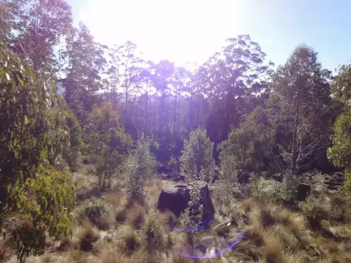 Seventh view of Homely rural property listing, Lot 2 Mount Barrow Road, Nunamara TAS 7259
