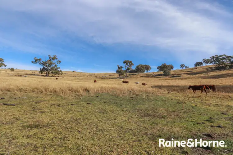 Second view of Homely land listing, Lot 113 Whalans Lane, Duramana NSW 2795