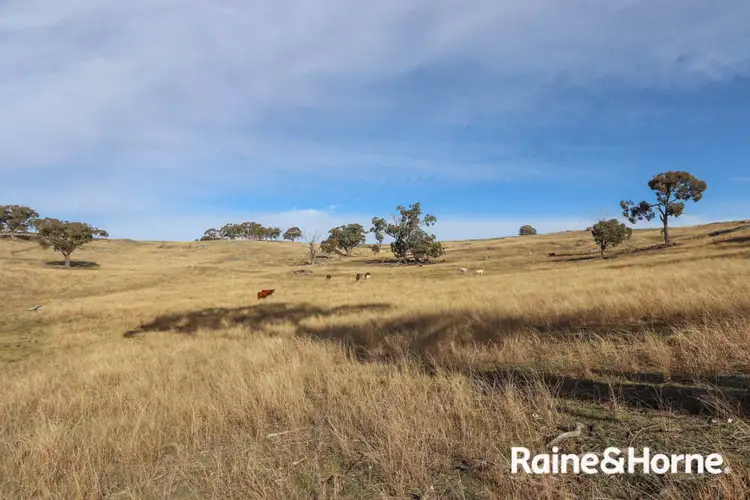 Sixth view of Homely land listing, Lot 113 Whalans Lane, Duramana NSW 2795