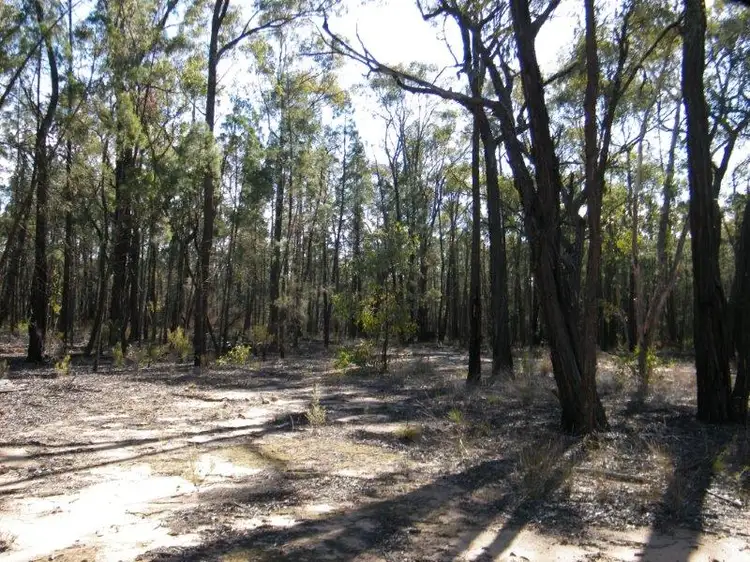 Third view of Homely rural property listing, 8000 Premer Road, Premer NSW 2381