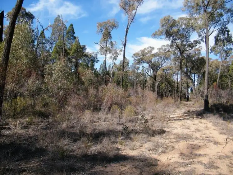 Fourth view of Homely rural property listing, 8000 Premer Road, Premer NSW 2381