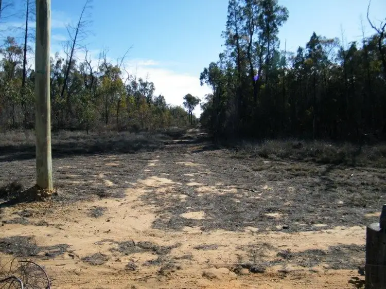 Fifth view of Homely rural property listing, 8000 Premer Road, Premer NSW 2381