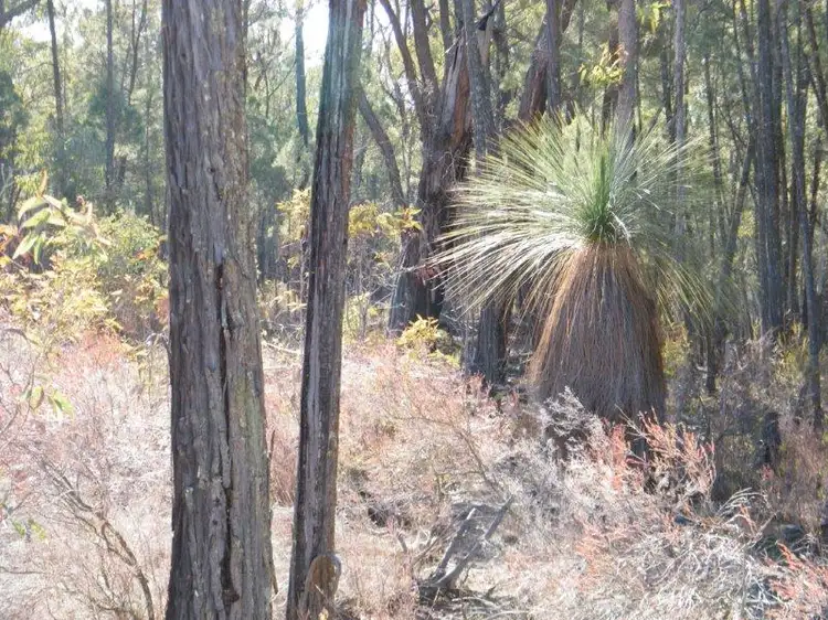 Sixth view of Homely rural property listing, 8000 Premer Road, Premer NSW 2381