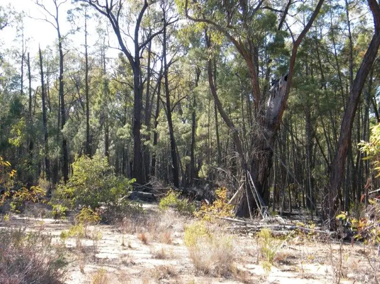 Seventh view of Homely rural property listing, 8000 Premer Road, Premer NSW 2381