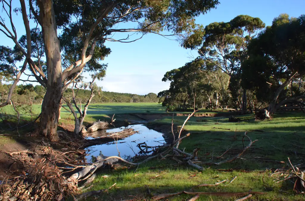 Main view of Homely rural property listing, LOT 501 BARK HUT ROAD, Cassini SA 5223