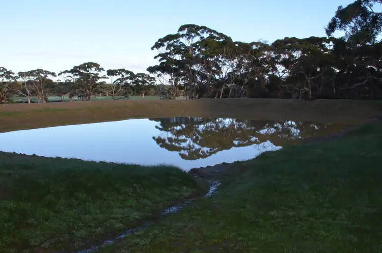 Second view of Homely rural property listing, LOT 501 BARK HUT ROAD, Cassini SA 5223