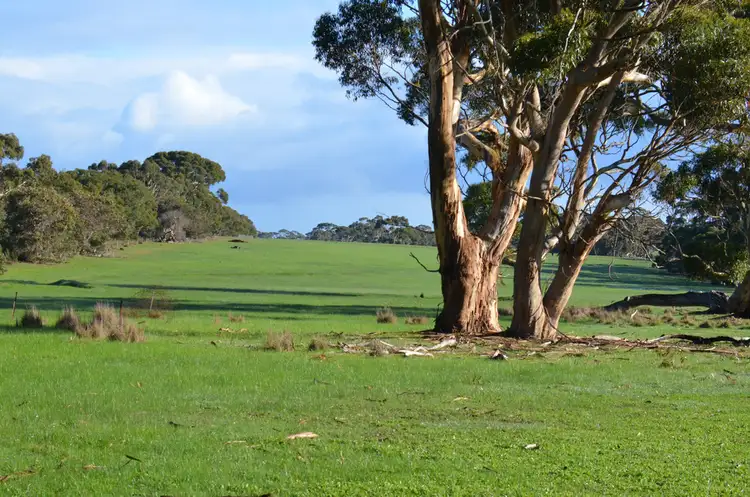 Fourth view of Homely rural property listing, LOT 501 BARK HUT ROAD, Cassini SA 5223