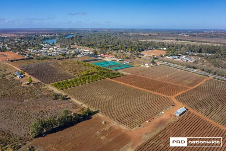 Fourth view of Homely rural property listing, Lot 3, 5a & 17 Dawn Avenue, Gol Gol NSW 2738
