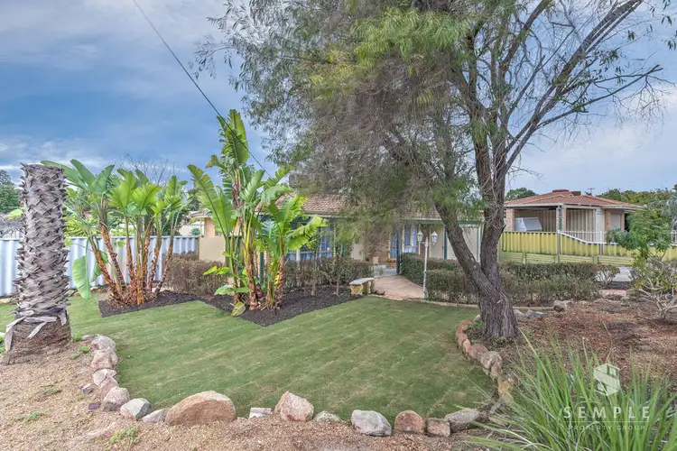 Main view of Homely house listing, 29 Williambury Drive, Yangebup WA 6164