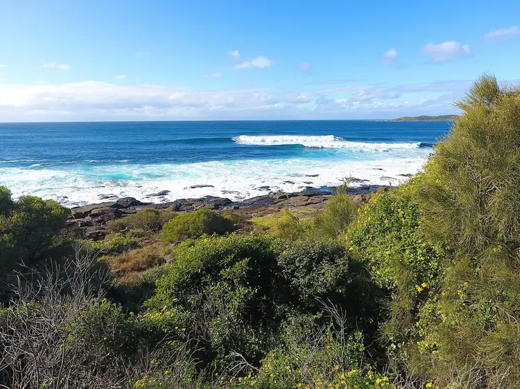Sixth view of Homely land listing, 53 Harrington Crescent, Bawley Point NSW 2539