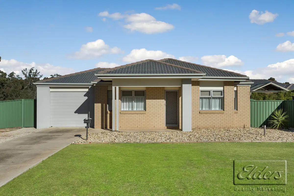 Main view of Homely house listing, 14 ROSEMUNDY ROAD, Epsom VIC 3551